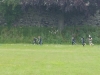 senior-sports-day-16
