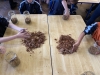 IMG_1827