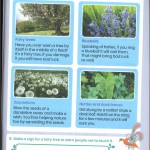 Plants special powers